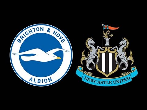 Brighton Hove Albion vs Newcastle United